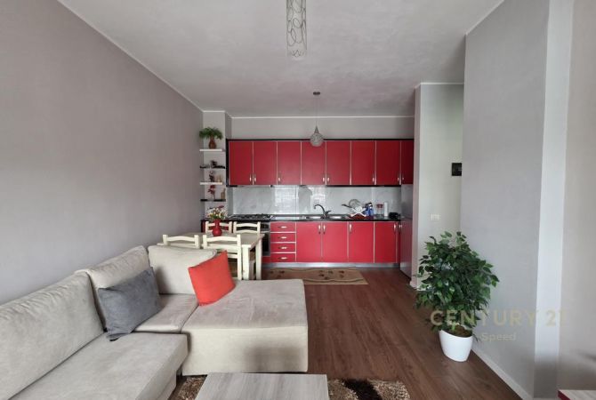 Shtepi ne shitje Apartament ne Tirane, 1+1, Mobilimi E mobiluar, Pagesa 67,000  Euro.
