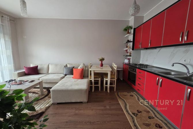 Shtepi ne shitje Apartament ne Tirane, 1+1, Mobilimi E mobiluar, Pagesa 67,000  Euro.