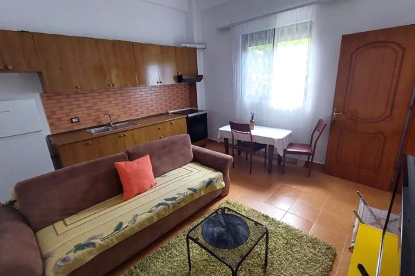 Shtepi me qera Shtepi Private ne Tirane, 1+1, Mobilimi E mobiluar, Pagesa 35,000  Leke.