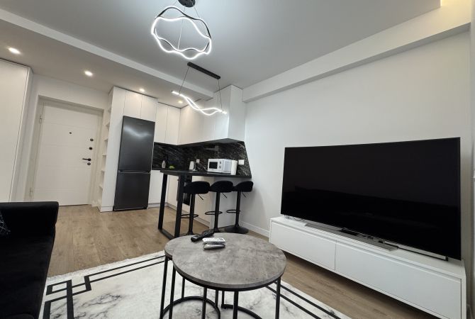 Shtepi me qera Apartament ne Tirane, 1+1, Mobilimi E mobiluar, Pagesa 540  Euro.