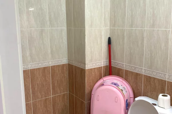 Shtepi ne shitje Apartament ne Tirane, 1+1, Mobilimi E mobiluar, Pagesa 100,000  Euro.