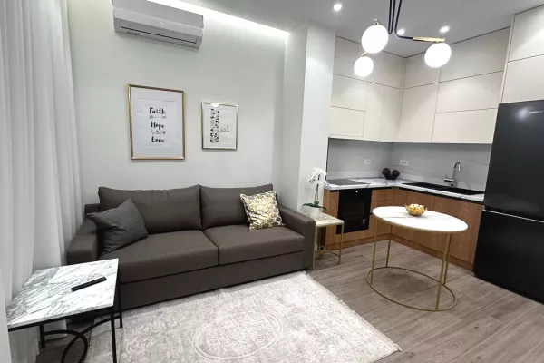 Shtepi me qera Apartament ne Tirane, 1+1, Mobilimi E mobiluar, Pagesa 62,000  Leke.