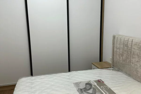 Apartment for rent in Tirana 1+1, Furnished