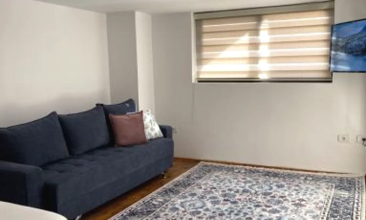 Shtepi me qera Apartament ne Tirane, Garsoniere, Mobilimi E mobiluar, Pagesa 500  Euro.