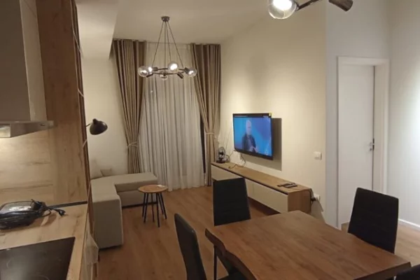 Shtepi me qera 1+1 ne Tirane - 48,000 Leke