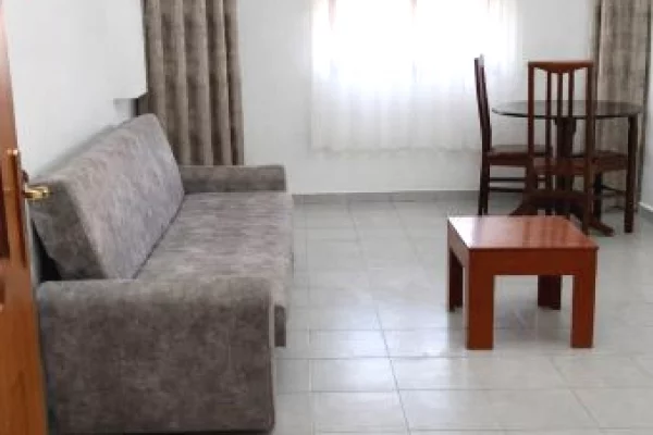 House for Rent 1+1 in Tirana - 650 Euro