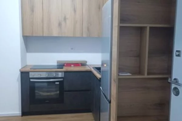 House for Rent 1+1 in Tirana - 450 Euro