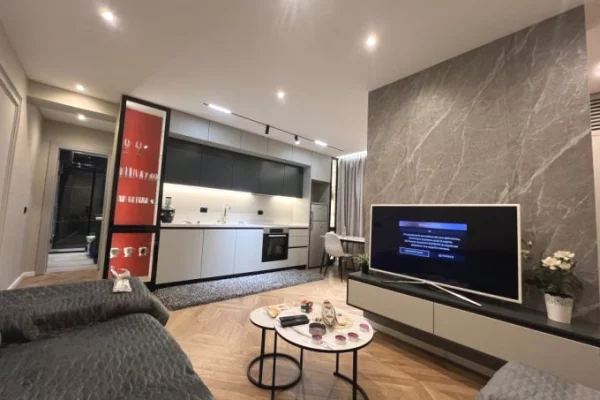 House for Rent 1+1 in Tirana - 650 Euro