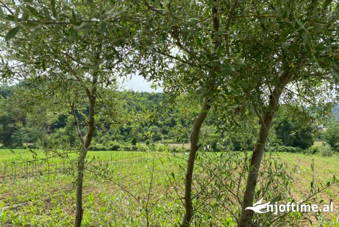 Terreno in vendita a Tirana - 400,000 Euro