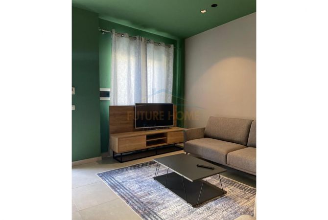 Shtepi me qera 1+1 ne Tirane - 450 Euro