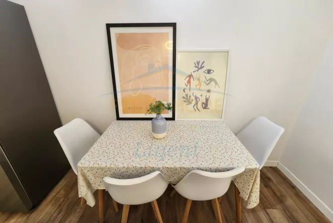 Apartment for rent in Tirana 1+1, Furnished