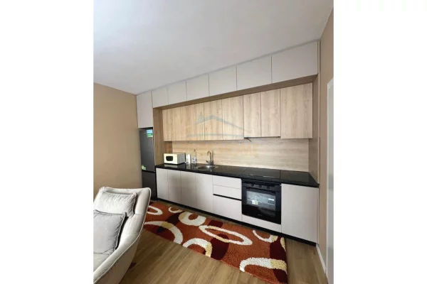 Shtepi me qera 1+1 ne Tirane - 450 Euro