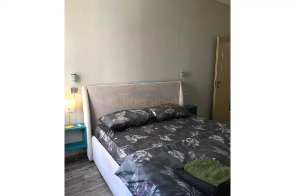 Shtepi me qera Apartament ne Tirane, 1+1, Mobilimi E mobiluar, Pagesa 467  Euro.