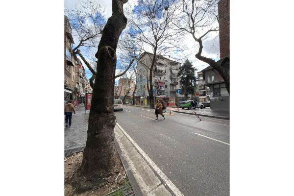 Business Property for Rent 1+1 in Tirana - 1,900 Euro