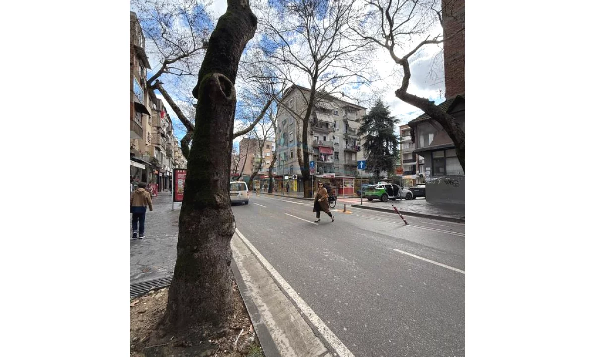 Qera, Ambient Komercial, Myslym Shyri