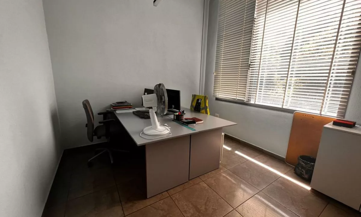 Foto 7
