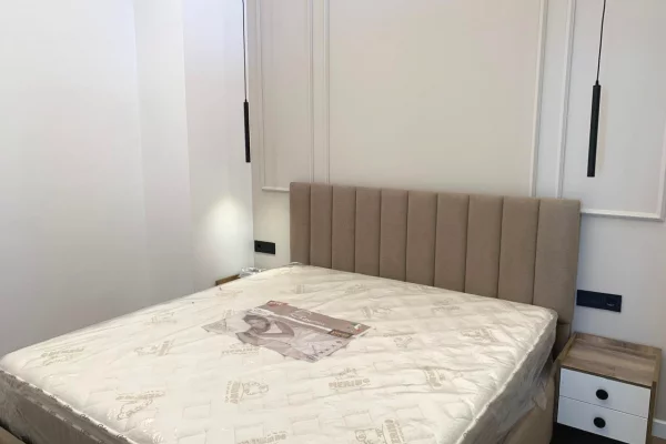 Shtepi me qera Apartament ne Tirane, 1+1, Mobilimi E mobiluar, Pagesa 800  Euro.