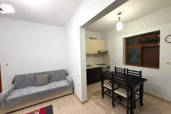 Shtepi me qera 1+1 ne Tirane - 43,000 Leke