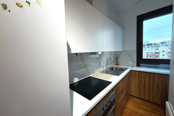 Shtepi me qera Apartament ne Tirane, 1+1, Mobilimi E mobiluar, Pagesa 800  Euro.