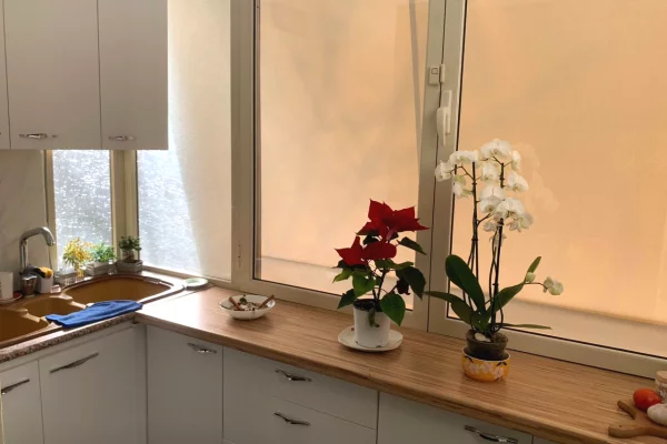 Shtepi me qera Apartament ne Tirane, 2+1, Mobilimi E mobiluar, Pagesa 75,000  Leke.