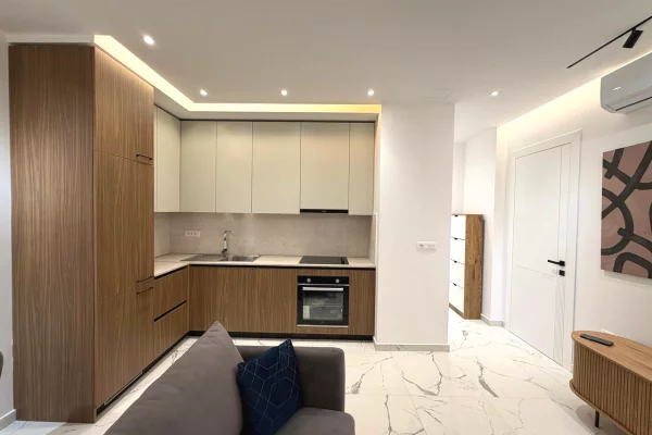 Shtepi me qera Apartament ne Tirane, 1+1, Mobilimi E mobiluar, Pagesa 780  Euro.