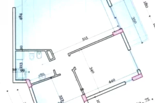 Shtepi ne shitje 2+1 ne Tirane - 185,000 Euro