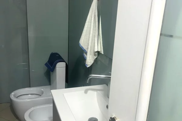 Shtepi ne shitje Apartament ne Tirane, 2+1, Mobilimi E mobiluar, Pagesa 116,000  Euro.