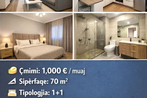 Shtepi me qera 1+1 ne Tirane - 1,000 Euro