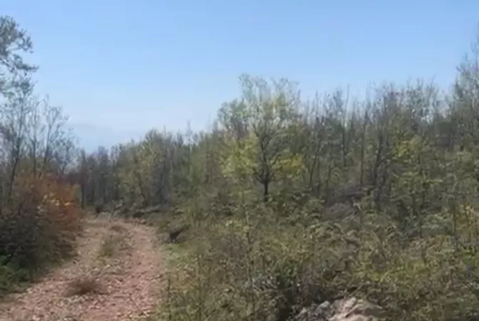 Truall ose Toke  ne Lezhe - 200,000 Euro