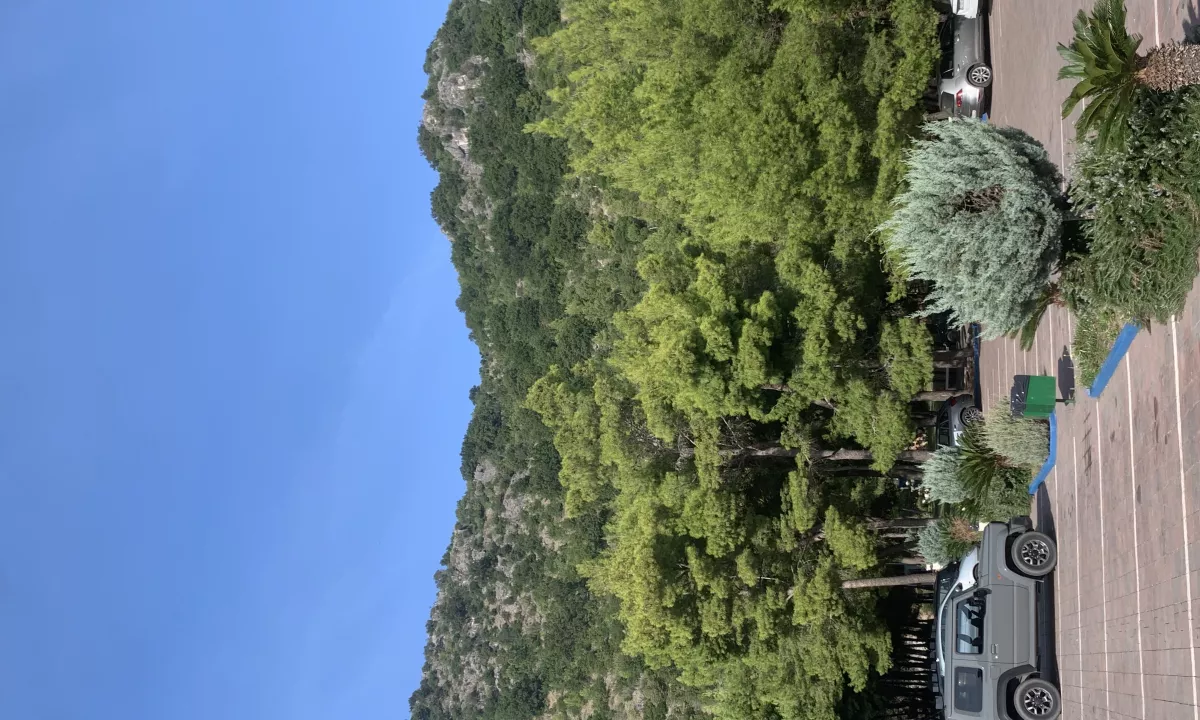 Foto 3