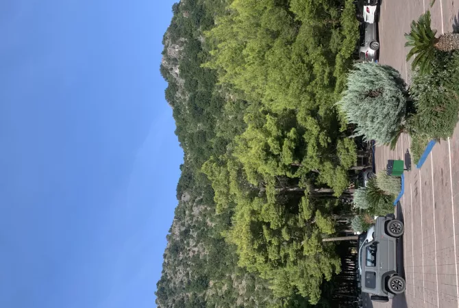 Truall ose Toke ne Lezhe - 350,000 Euro