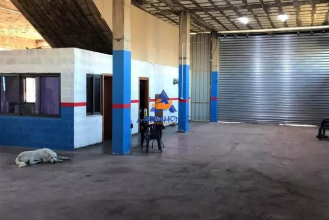 Business Property for Rent 4+1 in Tirana - 1,300 Euro