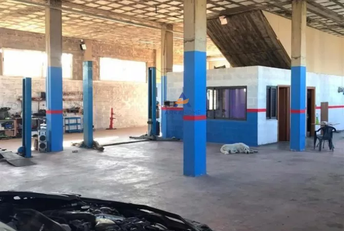 Business Property for Rent 4+1 in Tirana - 1,300 Euro