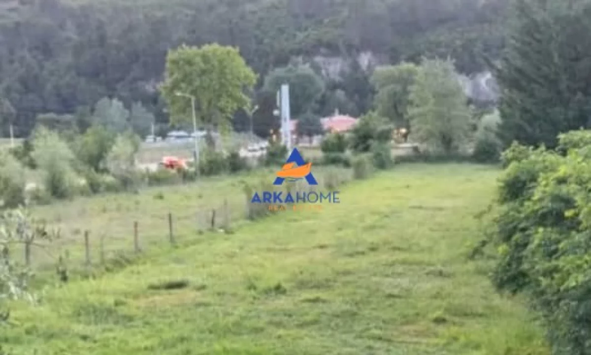 SHITET TOKE  3000M2 "IBE' 225.000 EURO