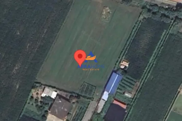 Truall ose Toke ne Lezhe - 55,000 Euro