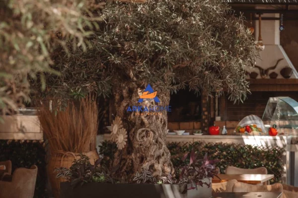 Ambient biznesi me qera 2+1 ne Vlore - 50,000 Euro