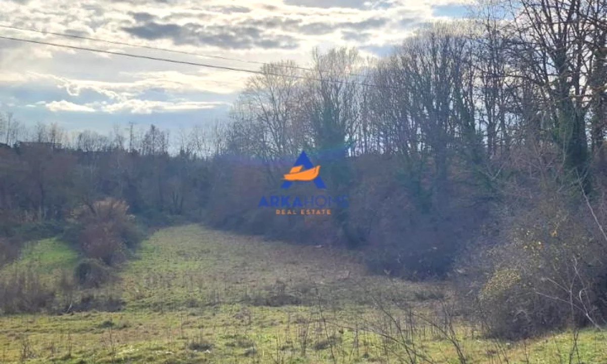 SHITET TOKE NE BABRRU 2800 M2 "BABRRU, KAMEZ" 210.000 EURO