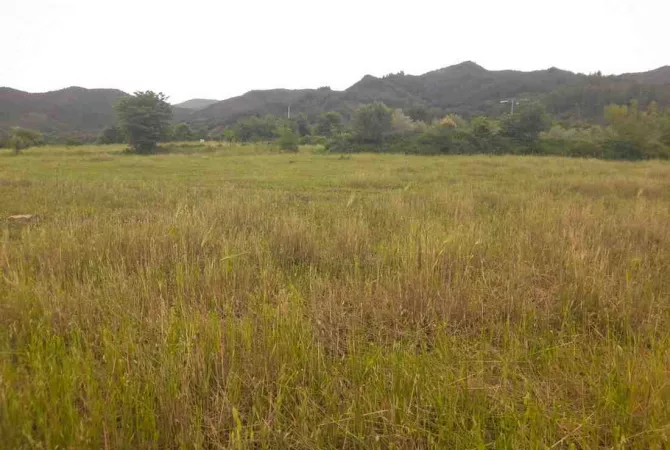 Toke Bujqesore ne Shitje-Qilarisht,Permet.