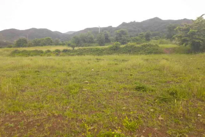 Toke Bujqesore ne Shitje-Qilarisht,Permet.