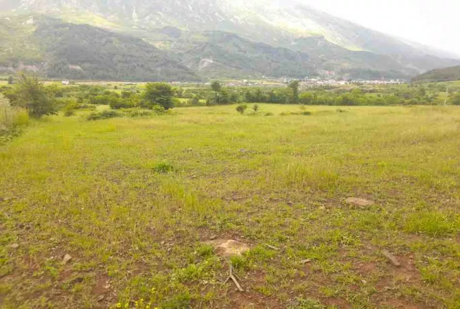 Toke Bujqesore ne Shitje-Qilarisht,Permet.