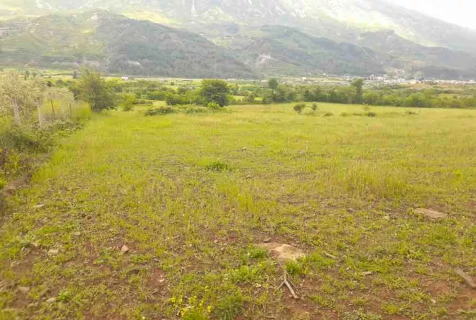 Toke Bujqesore ne Shitje-Qilarisht,Permet.