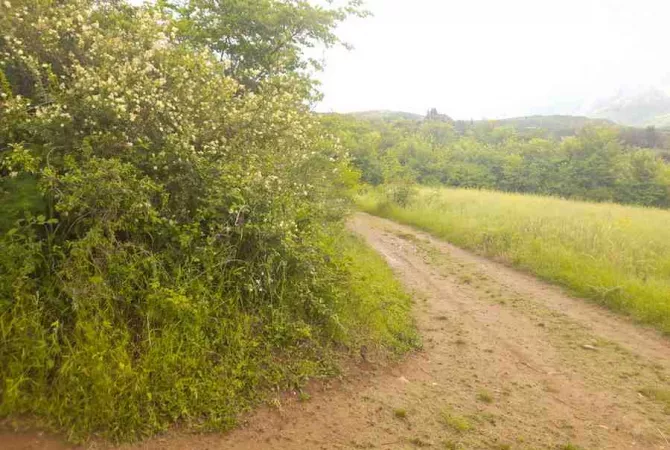 Toke Bujqesore ne Shitje-Qilarisht,Permet.