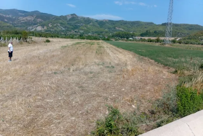 Shitet Toke ne Qilarisht