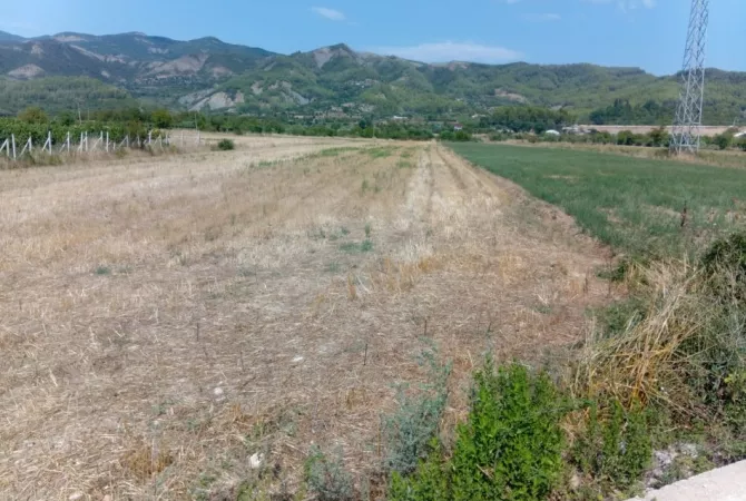 Truall ose Toke ne Gjirokaster - 1,040,000 Leke