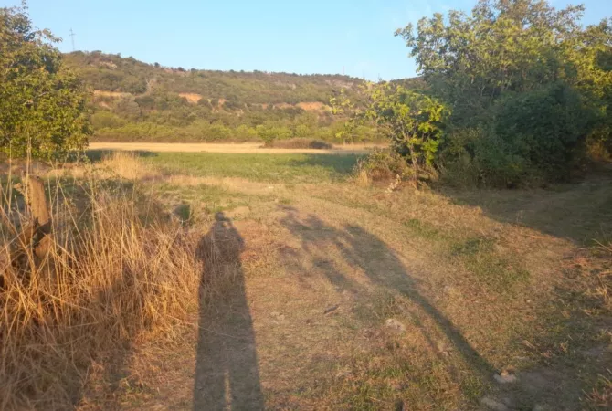 Shitet Toke Bujqesore ne fshatin Qilarisht