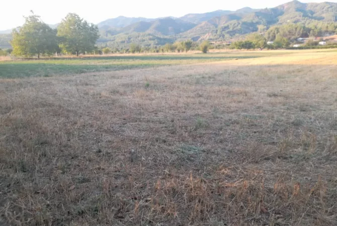 Truall ose Toke ne Gjirokaster - 2,640,000 Leke