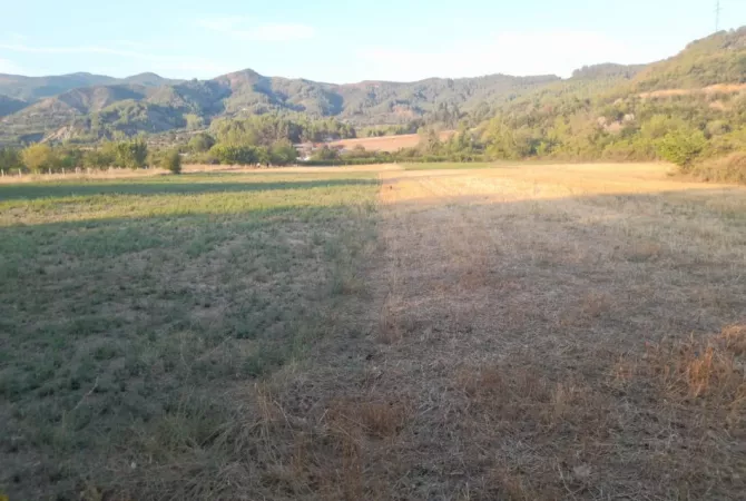 Shitet Toke Bujqesore ne fshatin Qilarisht