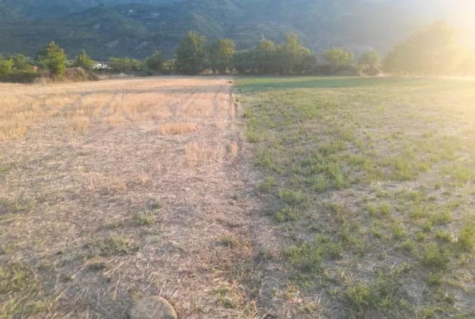 Shitet Toke Bujqesore ne fshatin Qilarisht