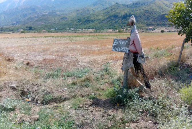 Truall ose Toke ne Gjirokaster - 2,400,000 Leke