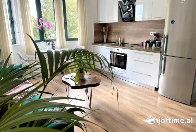 Shtepi me qera Apartament ne Tirane, 1+1, Mobilimi E mobiluar, Pagesa 550  Euro.